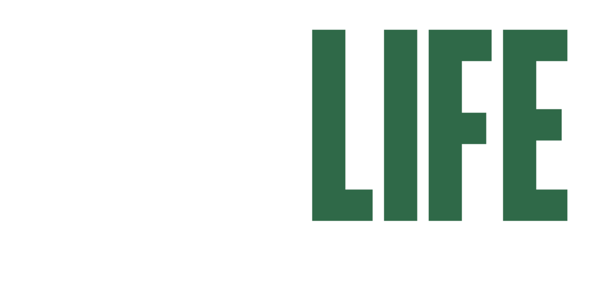 One Life Consulting Group